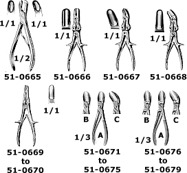 p51.gif (19402 bytes)